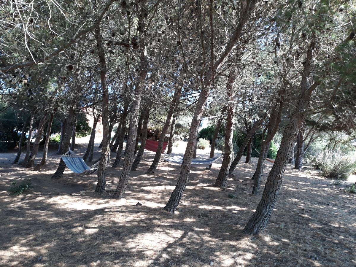 La Macciona Apartment Aglientu Bagian luar foto